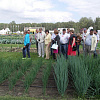 wbjvsrgy nzyqwvwx 2013 s20q5.JPG